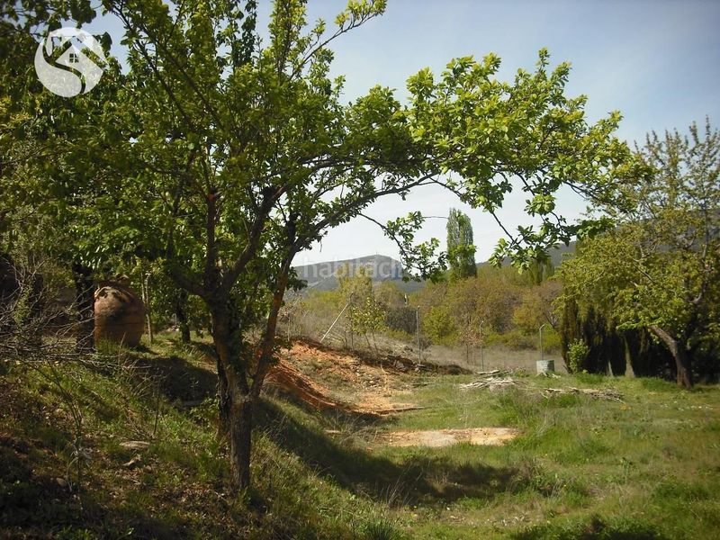 Foto 8da45bbe-bb96-4275-9eb2-0e1f9a13423d. Finca rústica a Cañamares