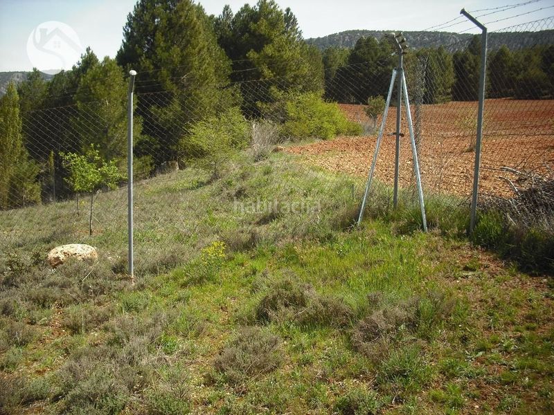 Foto aeb1785b-e99e-4a2d-ad86-33261bdb0b4d. Finca rústica a Cañamares