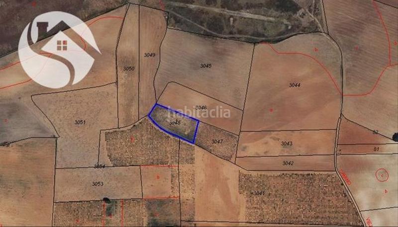 Foto de41be7e-eef2-463e-9b10-d484462e4845. Finca rústica a San Clemente