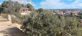 Terreny residencial a Carrer jacint 19
