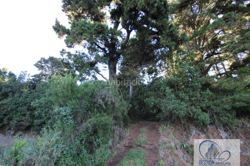 Foto 0c5a6ff8-4fd8-4f89-839e-01920cd76f1a. Masía los realejosfinca rustica en Icod El Alto Realejos (Los)