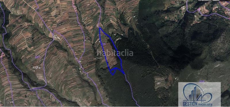 Foto 32f658d2-0c5b-4f18-b7c7-a267c5d6f8f5. Masia a Icod El Alto Realejos (Los)