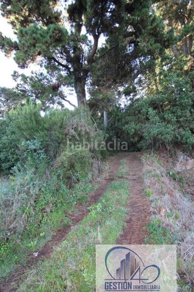 Foto 65a8adea-c664-4c3c-92d9-492de60e90de. Masía los realejosfinca rustica en Icod El Alto Realejos (Los)
