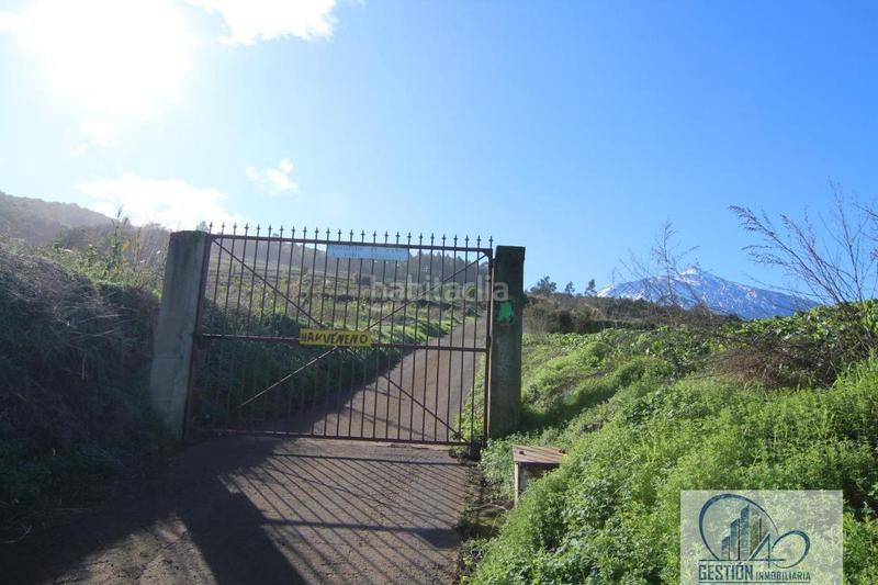 Foto a5d8efa1-c3c2-4cb1-ab55-440a86ce2170. Masía los realejosfinca rustica en Icod El Alto Realejos (Los)