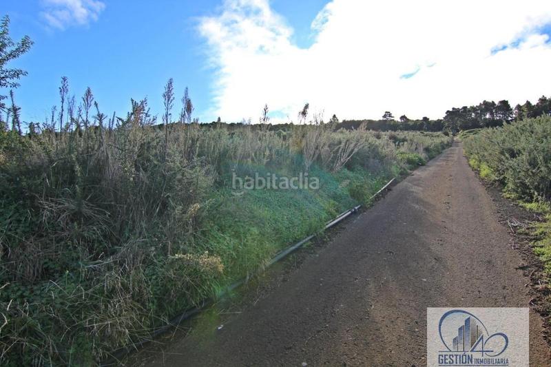 Foto cca20441-e887-450f-b9fb-ea6f7ca30f0c. Masía los realejosfinca rustica en Icod El Alto Realejos (Los)