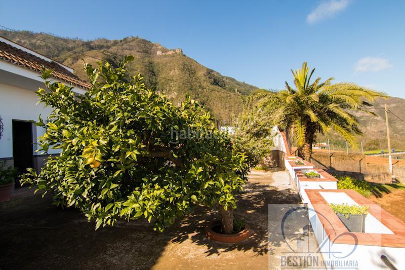 Foto a0ad12dd-6dbc-4f6c-a660-3063f4501e97. Masia amb aparcament a Los Realejos pueblo Realejos (Los)