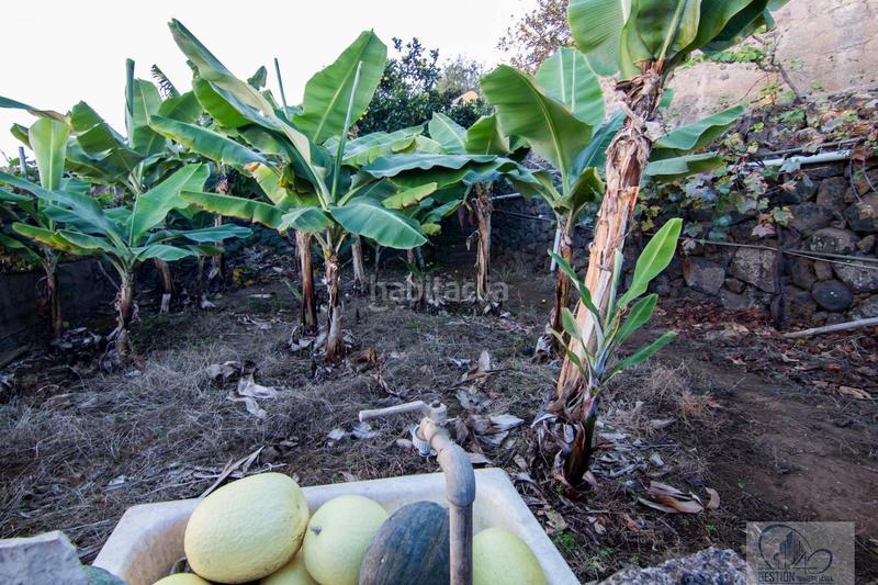 Foto 00ff6463-0443-481a-8b6a-bb098e677919. Chalet in Centro Orotava (La)