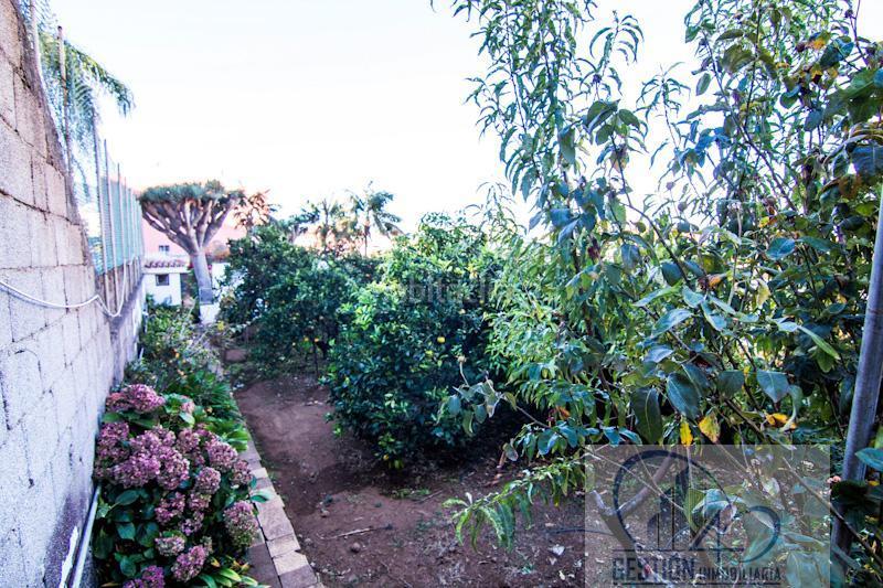 Foto 6e3aba0c-8e0c-4ddb-829b-8665717c2575. Chalet in Centro Orotava (La)