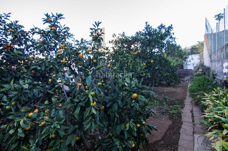 Foto aefa7e5f-8250-44cd-81dc-bbbe5e5734b4. Chalet in Centro Orotava (La)