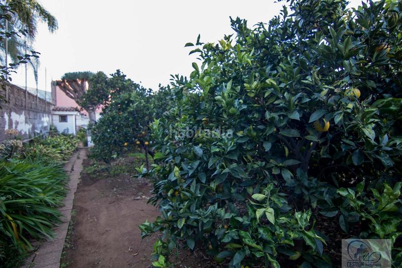 Foto b7e23a9d-b2ca-48b2-8dd0-adff6706eaec. Chalet in Centro Orotava (La)