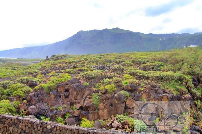 Foto 7119a09d-b5f9-4301-9629-ac028dd2d7db. Piso los silospiso en Silos (Los)