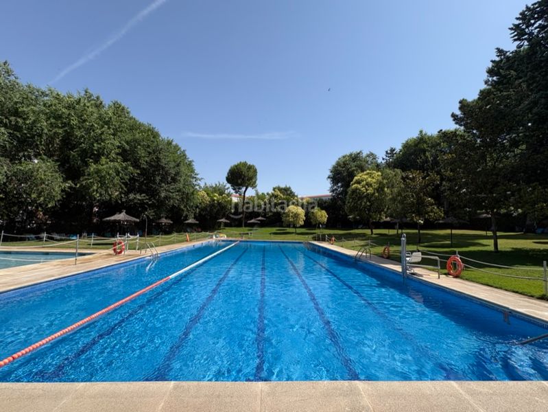 Foto 3dc6a42b-2e8f-49a9-833b-7915307a6165. Piso en San Juan Bautista Madrid