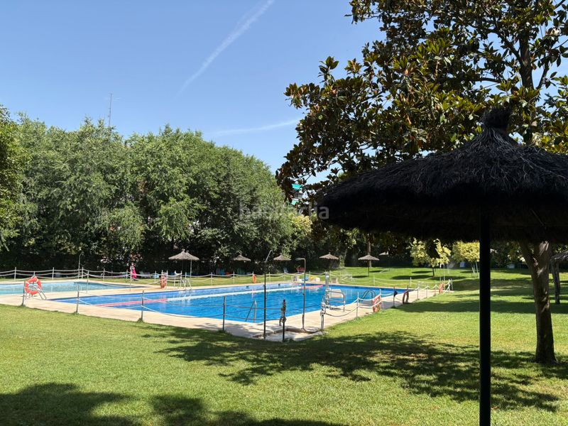 Foto 6f22c45d-add4-4595-a695-8116b9df188c. Piso en San Juan Bautista Madrid