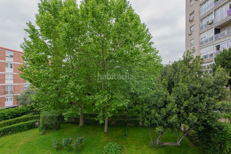 Foto a9d1fdb4-1f31-4a0f-8e52-dc8f0523fcd1. Piso en San Juan Bautista Madrid
