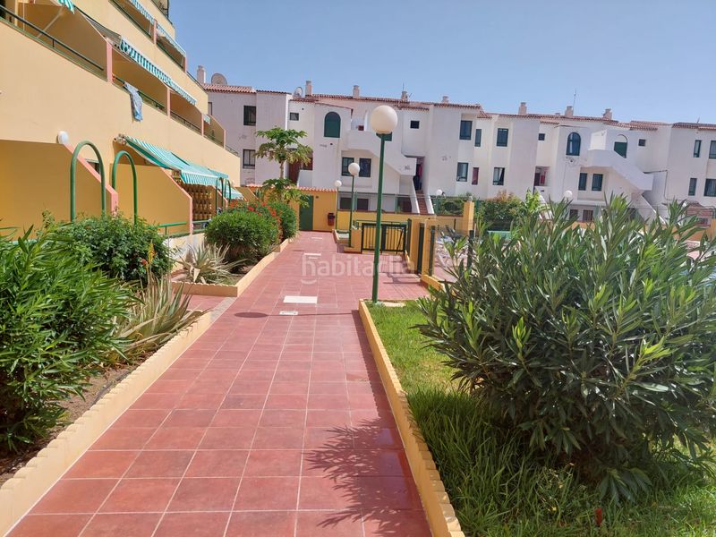 Foto 69292064-fcff-4fd1-a9ba-7b54d3d3029e. Apartament amb piscina a Costa del Silencio Arona