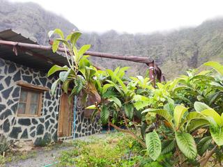 Terreny residencial  La frontera. Vive y cultiva en el paraíso! venta de finca rústica en el hierr