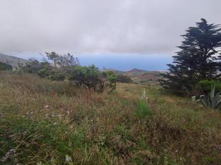 Terreny residencial  Montaña vieja. Invierte en naturaleza terreno rústico y urbano con edificación