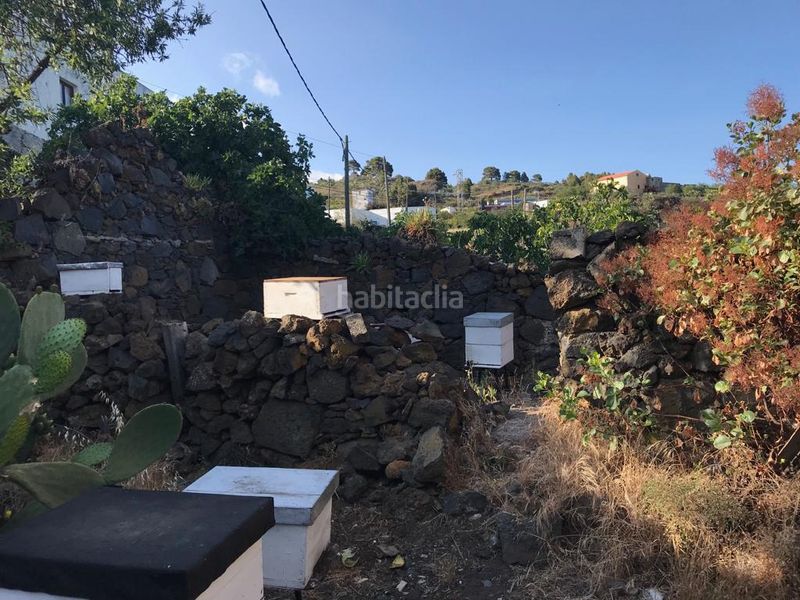 Foto ee7c274e-c0e2-4dec-87db-e017912ffff3. Masia a Pinar de El Hierro (El)