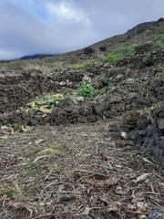 Terreno residenziale in Frontera