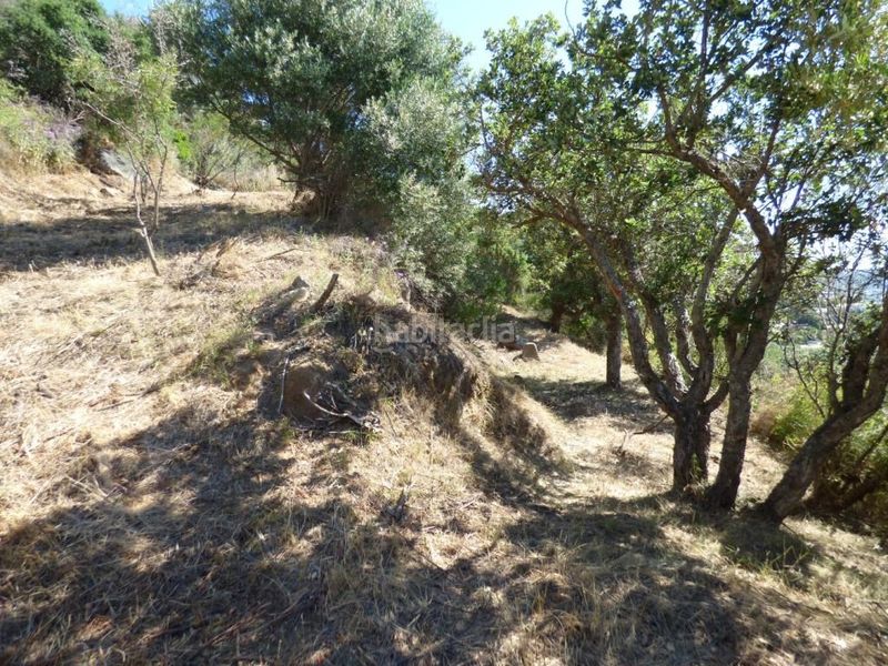 Foto a8f84d49-d9f8-46b5-8c80-dac240e4a5b8. Terreny residencial a Cabanyes-Mas Ambrós-Mas Pallí Calonge