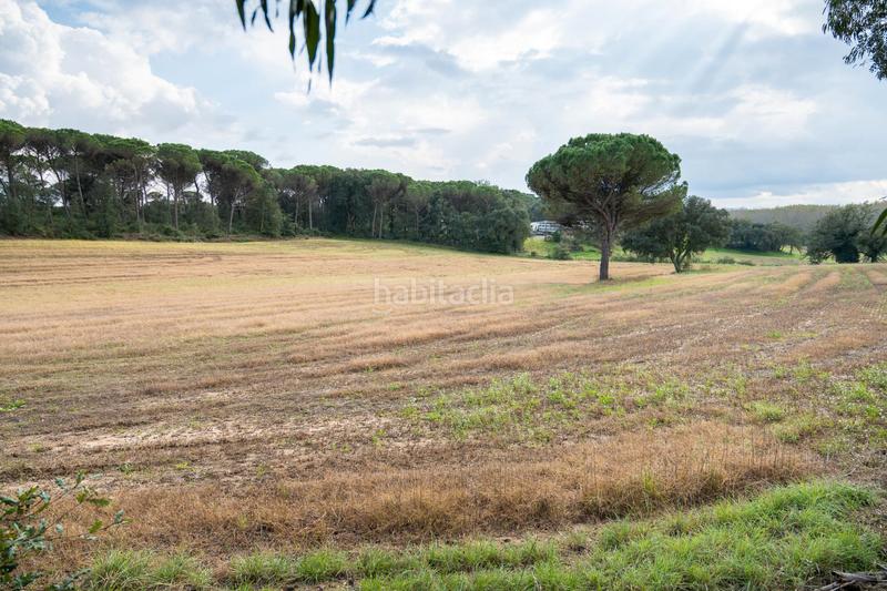 Foto 055c3e28-1f45-4164-adb2-d3139ef9e76f. Mas avec cheminée chauffage parking dans Sils