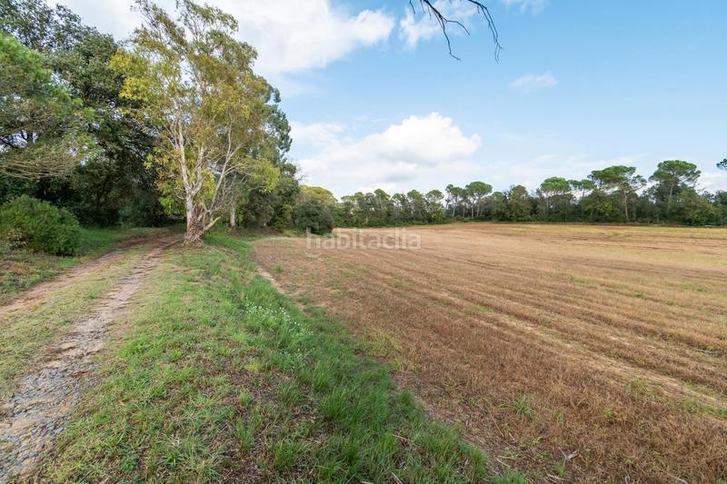 Foto 61f8935c-42ac-40cc-b4be-db5324e8618f. Mas avec cheminée chauffage parking dans Sils