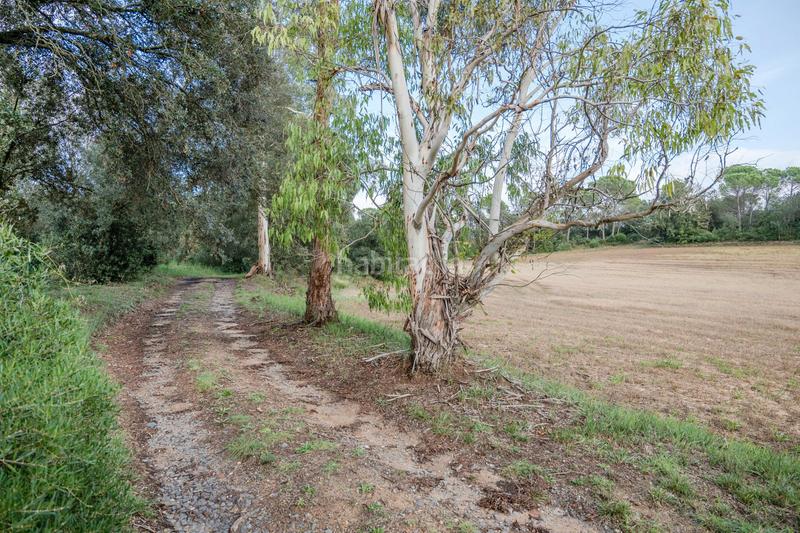 Foto f38aaeec-1f9c-4429-9d69-39d74699e0c1. Mas avec cheminée chauffage parking dans Sils