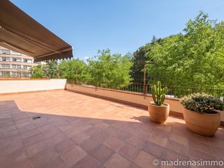 Appartement  Calle de oviedo. Pis amb terrassa!