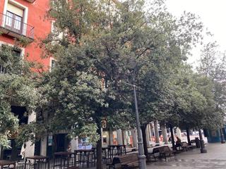 Miete Büro  Calle de ferrari. Oficina en calle ferrari