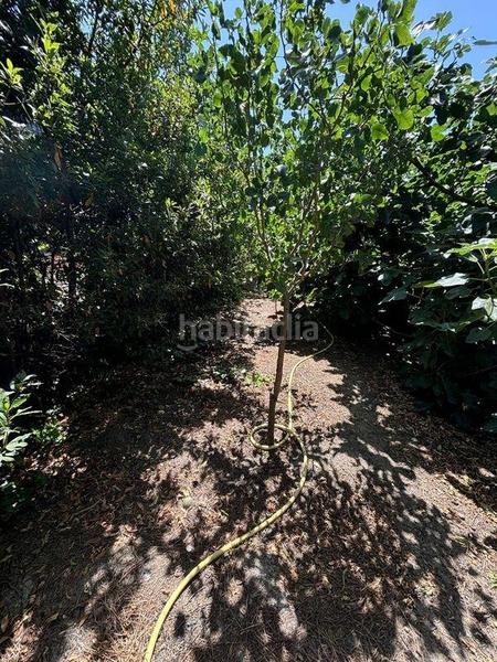 Foto 7b357fa3-92ea-421f-8880-531a0397d225. Chalet con riscaldamento parcheggio piscina in La Victoria - Puente Jardín Valladolid