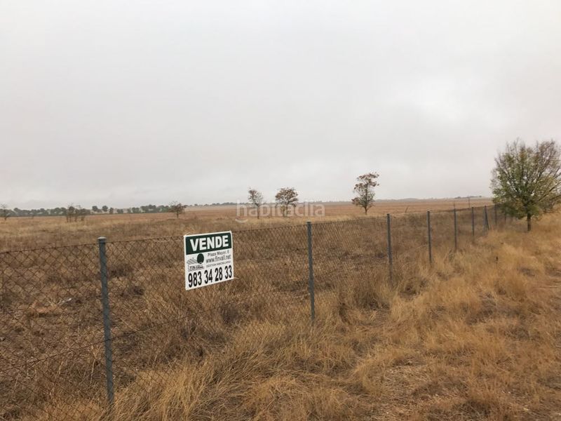 Foto a86eab13-d6f6-41b2-adf8-da59cc76a0b9. Terreny residencial a Cistérniga