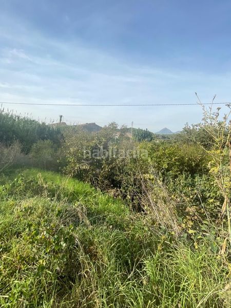 Foto 4b992684-080b-4fc4-acb3-d29f1e2d3023. Finca rústica a partida sogay-industria 52 a Altea la vella Altea