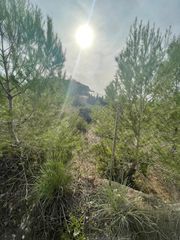 Fondo rustico in Partida sogay-industria 52. Conjunto de terrenos en río algar.