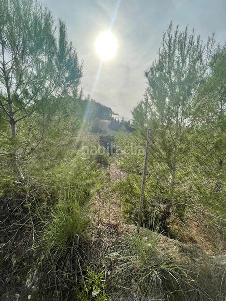 Foto c7e29cd6-a5e2-4b99-923d-0d24f24884b8. Finca rústica a partida sogay-industria 52 a Altea la vella Altea