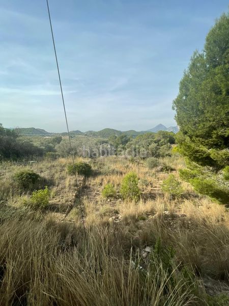 Foto caa05948-d436-46b2-8f70-e6cb0ed8ac49. Finca rústica a partida sogay-industria 52 a Altea la vella Altea