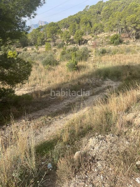 Foto df766403-5d7c-40bb-a742-b26cd319aab1. Finca rústica a partida sogay-industria 52 a Altea la vella Altea