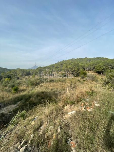 Foto e579b84d-ff73-4642-8731-f5f1860ff75e. Finca rústica a partida sogay-industria 52 a Altea la vella Altea