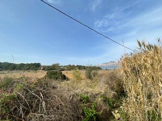 Finca rústica a Camì de la sabatera 37. Proyecto de 3 parcelas / suelo no urbanizable común