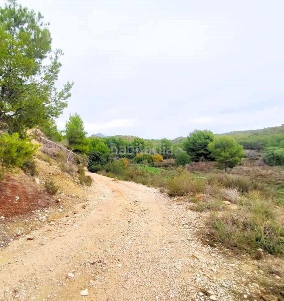 Foto 18c0838b-fb5f-4665-8057-02789d5597d3. Finca rústica en n/a terreno rústico en tosal águilas. en Vila Joiosa (la)