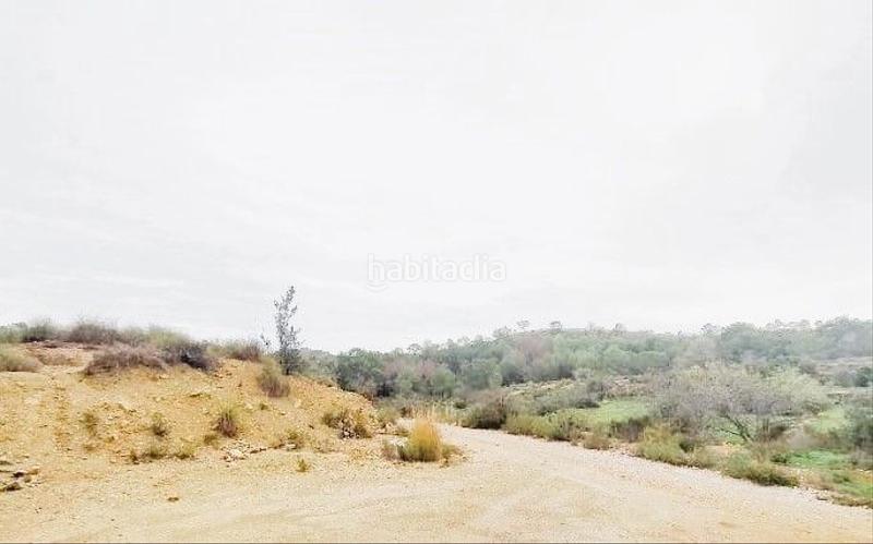 Foto d50caf27-23a3-48e5-86bf-56dc5c763fb8. Finca rústica en n/a terreno rústico en tosal águilas. en Vila Joiosa (la)