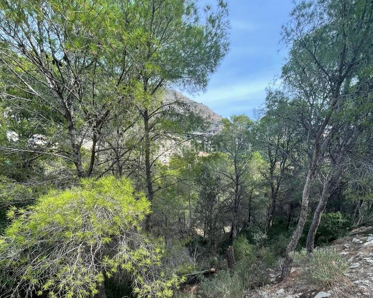 Foto ab9b1f22-efcf-45ab-a03d-cd8b97a23612. Wohngrundstück in Altea hills Altea