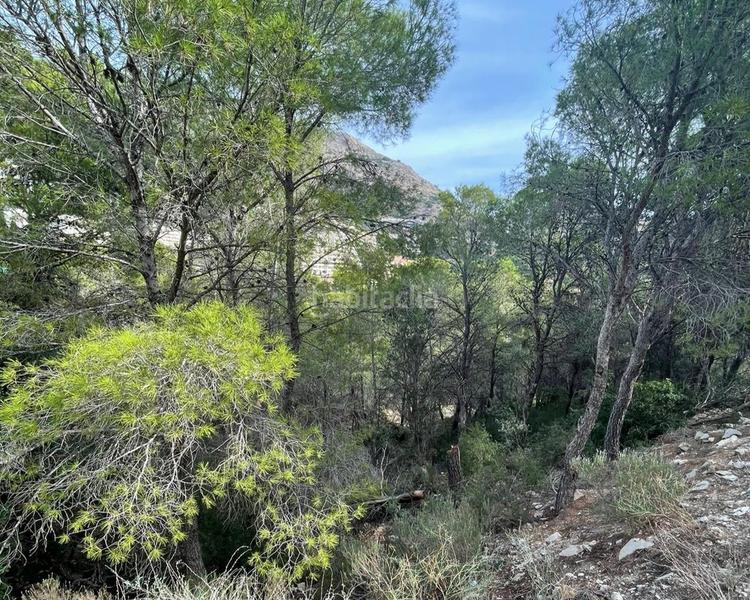 Foto f7077180-b38a-443a-8e78-1b0cdfd07267. Wohngrundstück in Altea hills Altea