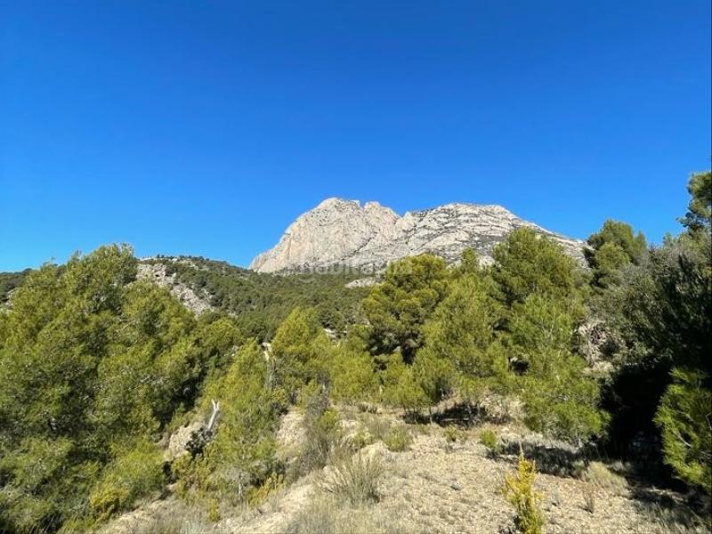 Foto 58686aba-5560-4674-abd0-799809d9aa8d. Finca rústica rústicos . en Finestrat pueblo Finestrat