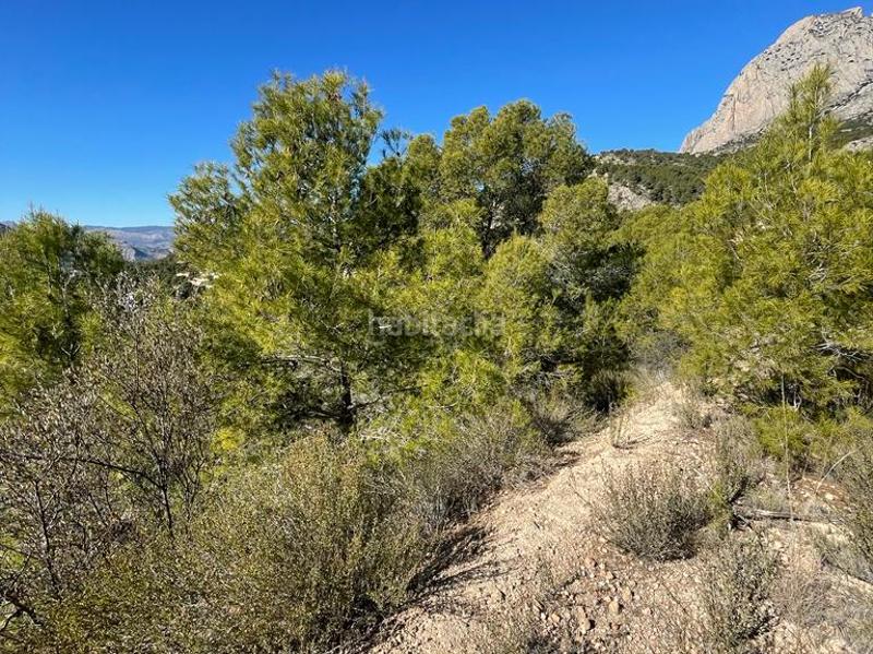 Foto 5afbc2f0-c0c3-4068-b753-5ac336fda700. Finca rústica rústicos . en Finestrat pueblo Finestrat