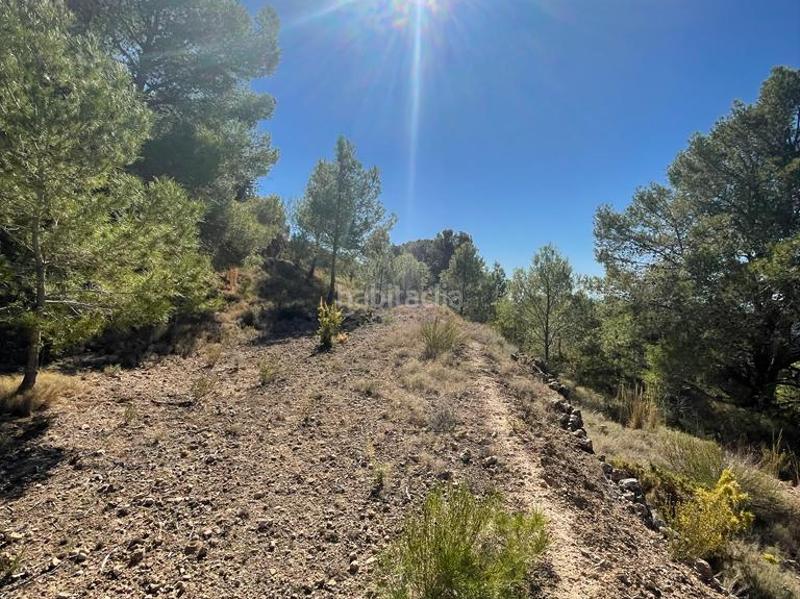 Foto 7fbf0d4c-439f-4603-93d8-34aaa560e995. Finca rústica rústicos . en Finestrat pueblo Finestrat