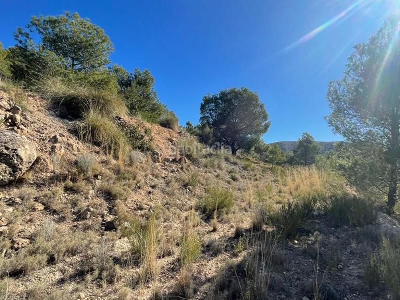 Foto ea10bb41-a365-4e2e-82a8-0fb663385751. Finca rústica rústicos . en Finestrat pueblo Finestrat