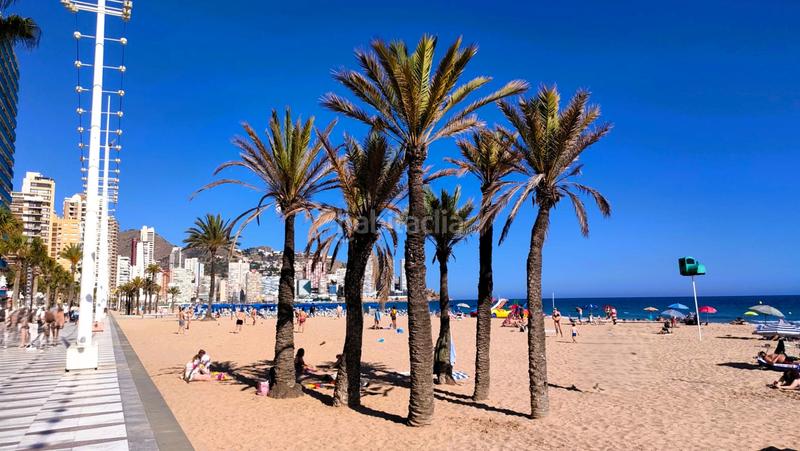 Foto ca51b5bf-7920-45a7-a919-312675ef0590. Pis amb aparcament piscina a Playa Levante Benidorm