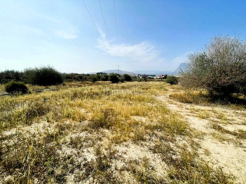 Foto 7d177acd-1caf-4a11-a66f-6deba7fee400. Wohngrundstück in Platja de Vila Joiosa Vila Joiosa (la)