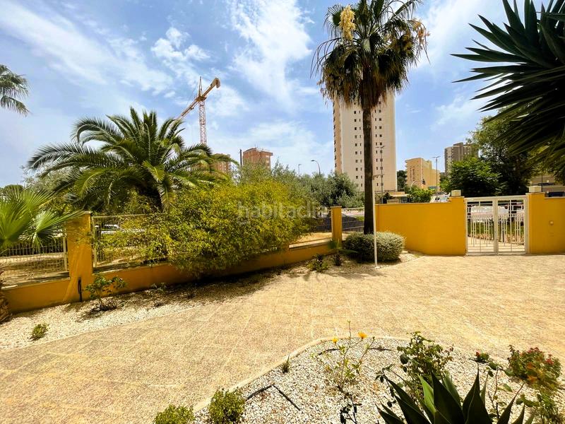 Foto 661e24bf-98f5-4462-b478-cb4974aa539a. Appartamento con piscina in Playa Poniente Benidorm