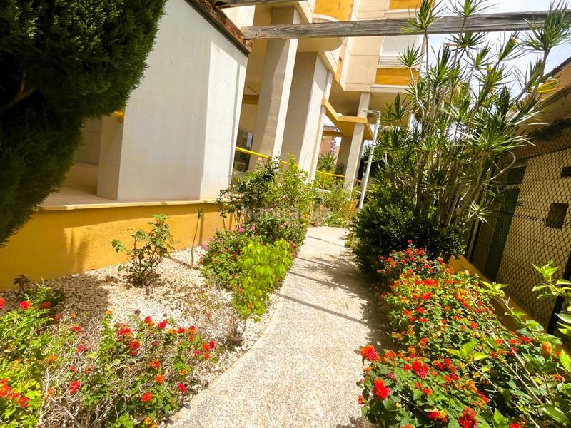 Foto ff84f684-bdeb-49db-b949-45fa94b820ea. Appartamento con piscina in Playa Poniente Benidorm